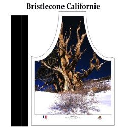 Pin de Bristlecone en Californie