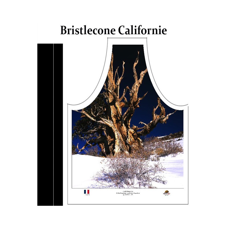 Pin de Bristlecone en Californie