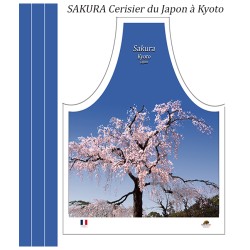 Sakura à Koto Japon