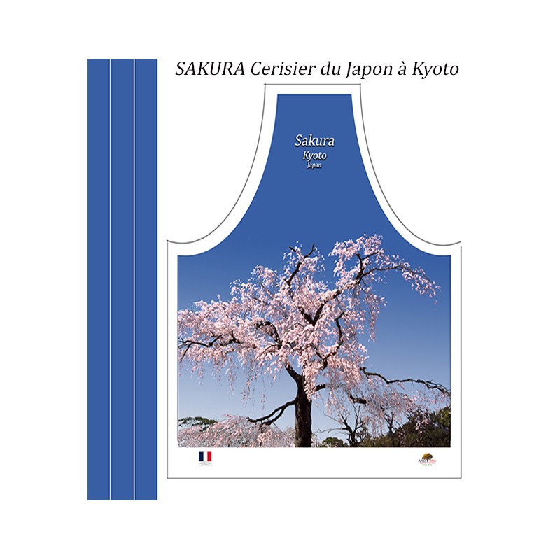 Sakura à Koto Japon