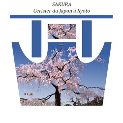 Tablier Japonais " Sakura de Kyoto" Japon