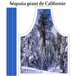 Séquoia Général Grant Californie