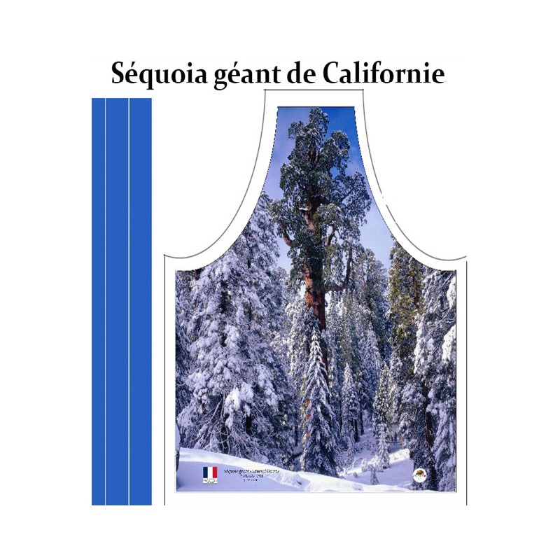 Séquoia Général Grant Californie