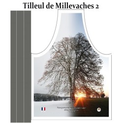 Tilleul (2 saisons) Haute Combe, Millevaches, Corrèze