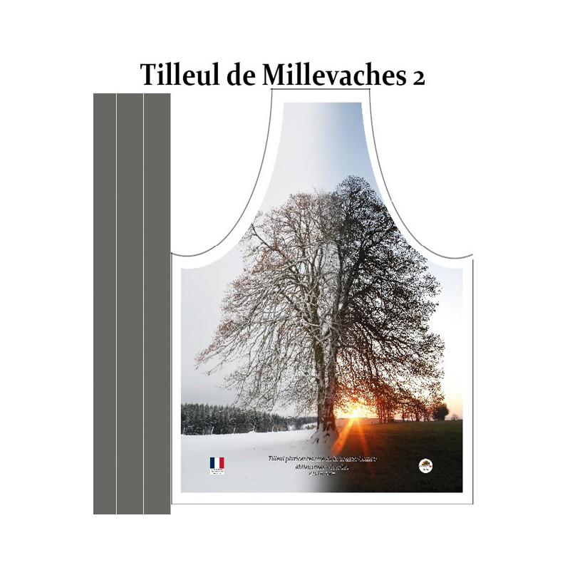 Tilleul (2 saisons) Haute Combe, Millevaches, Corrèze