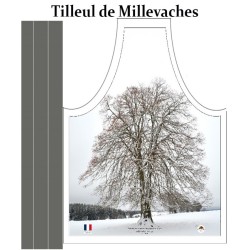 Tilleul sous la neige Saint Septier