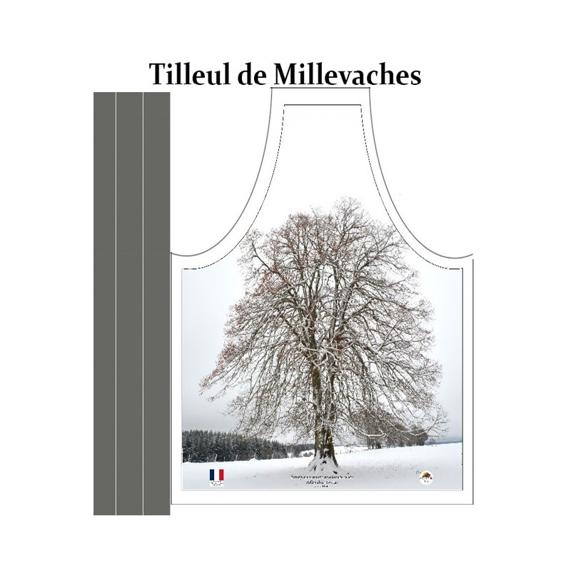 Tilleul sous la neige Saint Septier