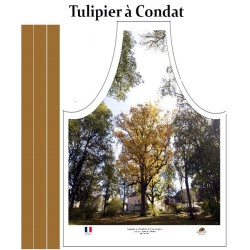 copy of Tablier de cusine...