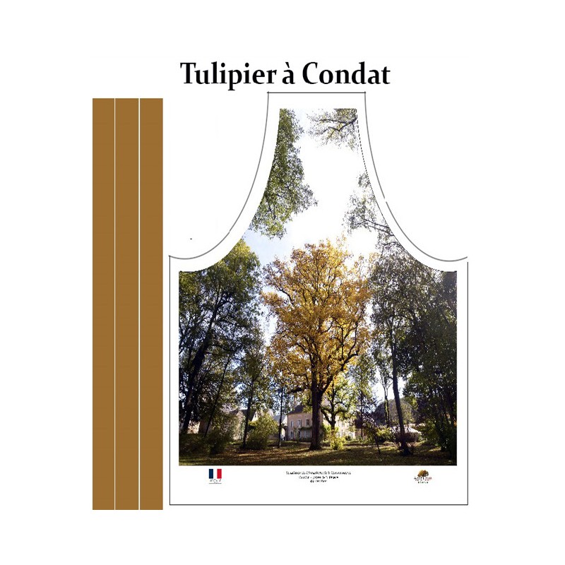 Tulipier de Virginie, Hostellerie de la Commanderie à Condat sur Vézère