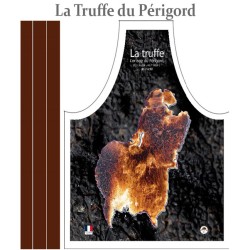 truffe du Périgord