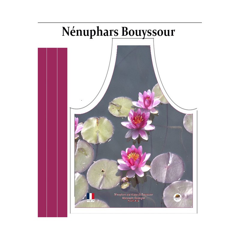 Nénuphars de Bouyssour , Marsaneix Sanilhac