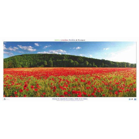 Poppy field in Aubas, Vézère valley, Périgord.