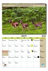 Calendrier Arbres & Nature 2022