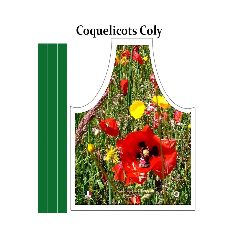 Champ fleuri de coquelicots à Coly