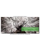 BON D’ACHAT – BAIN DE FORÊT & MUSIQUE DES ARBRES